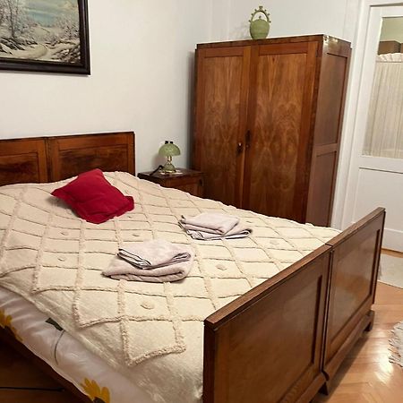 Emese Central Vintage Apartment Targu Mures Luaran gambar