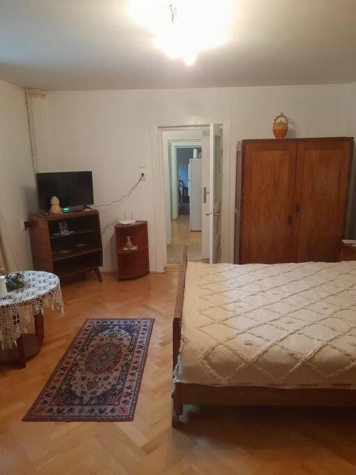Emese Central Vintage Apartment Targu Mures Luaran gambar