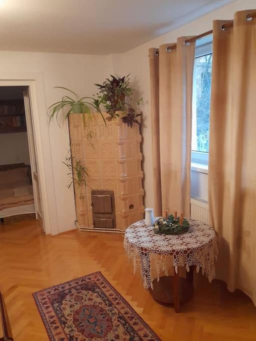 Emese Central Vintage Apartment Targu Mures Luaran gambar