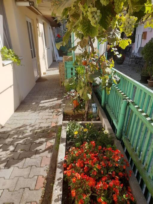 Emese Central Vintage Apartment Targu Mures Luaran gambar