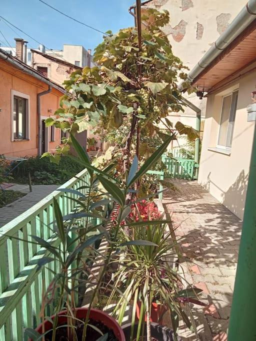 Emese Central Vintage Apartment Targu Mures Luaran gambar