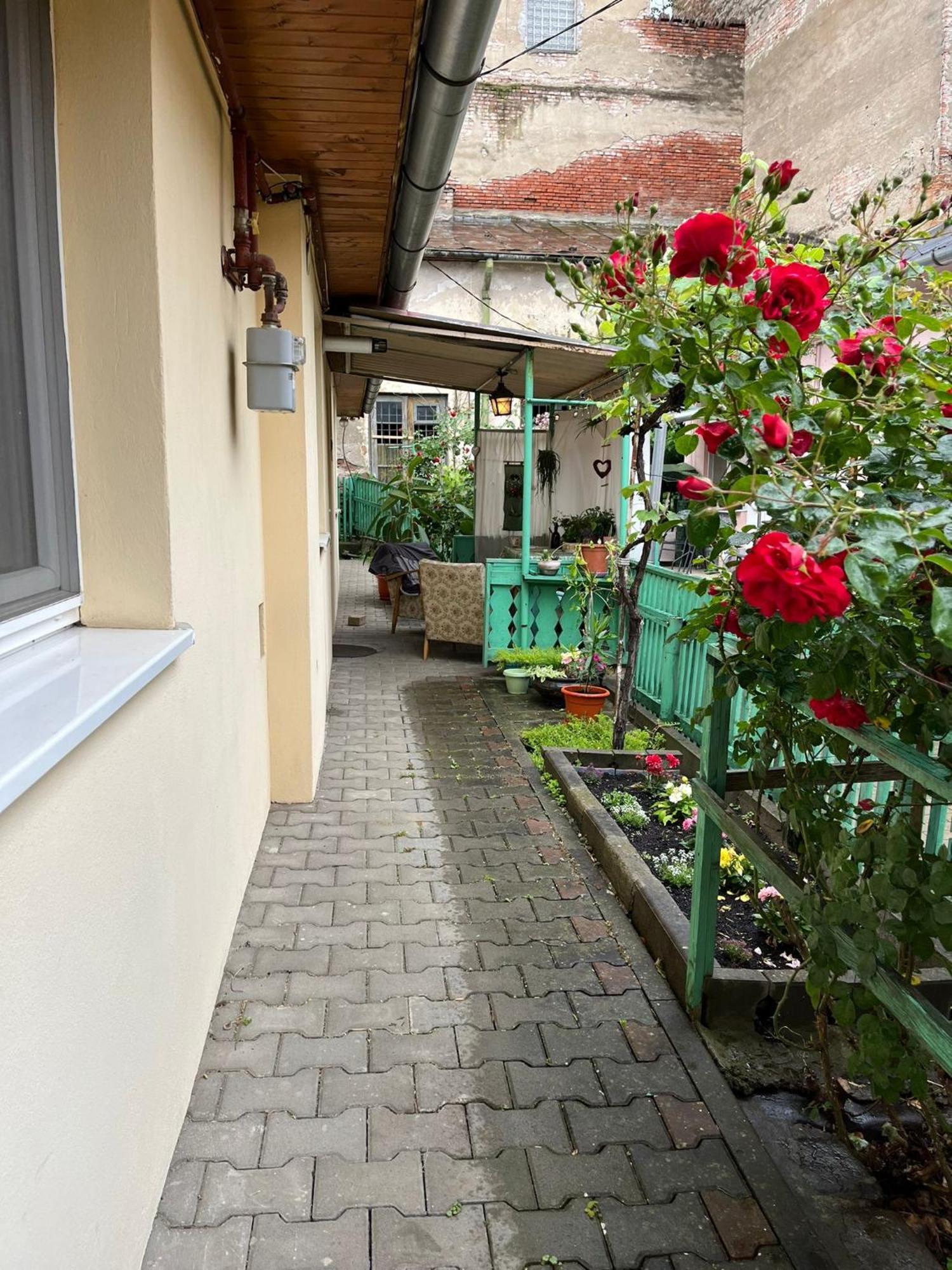 Emese Central Vintage Apartment Targu Mures Luaran gambar