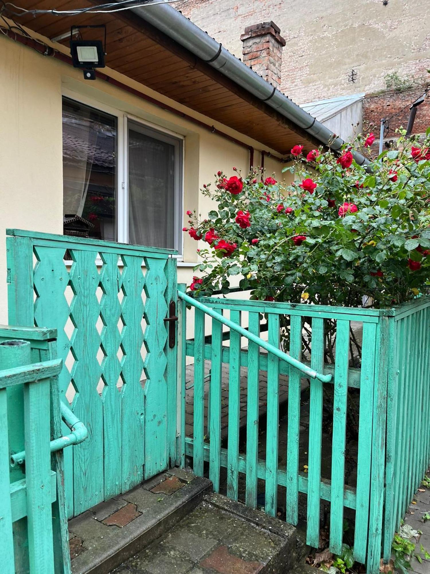 Emese Central Vintage Apartment Targu Mures Luaran gambar